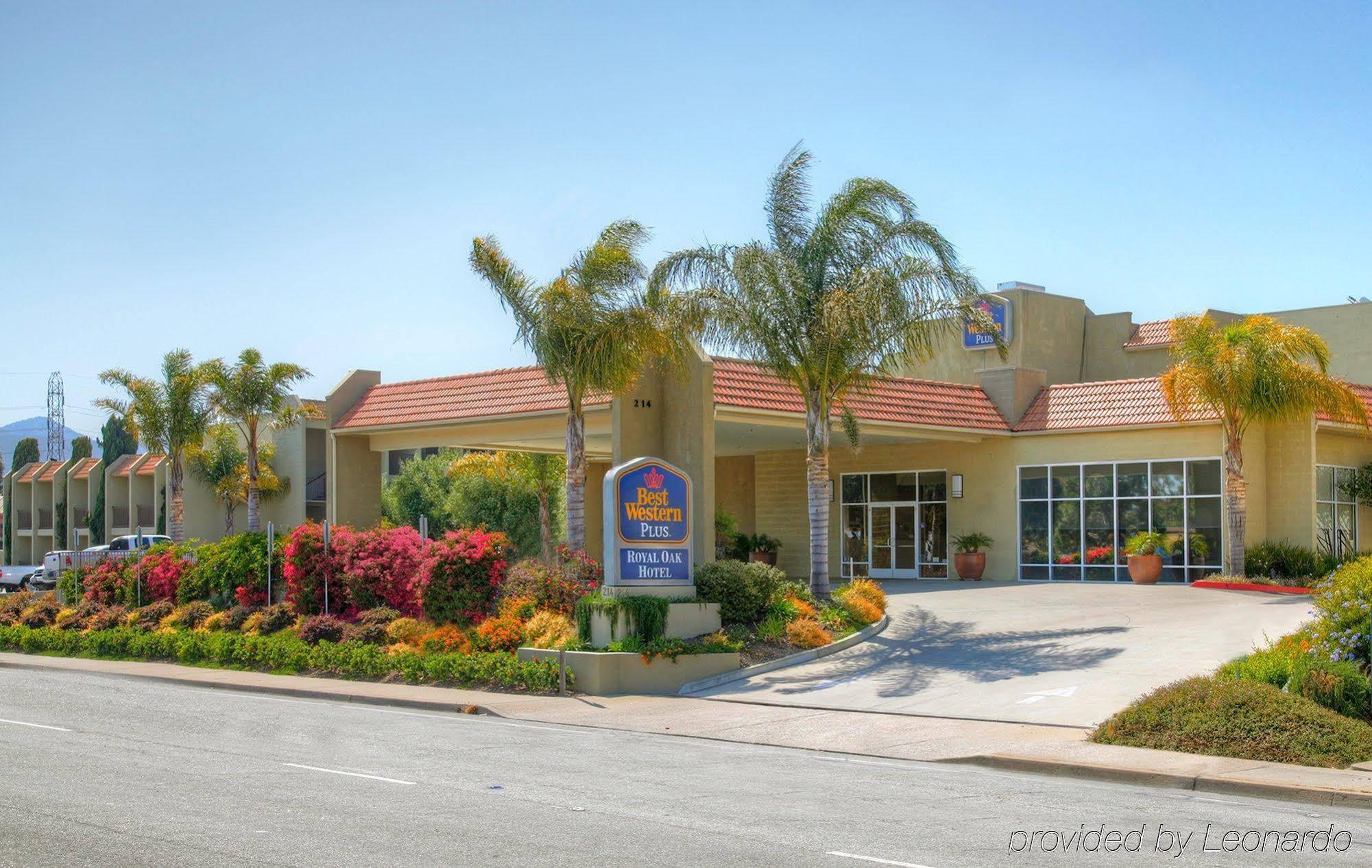 Western Royal Oak Hotel 3*
