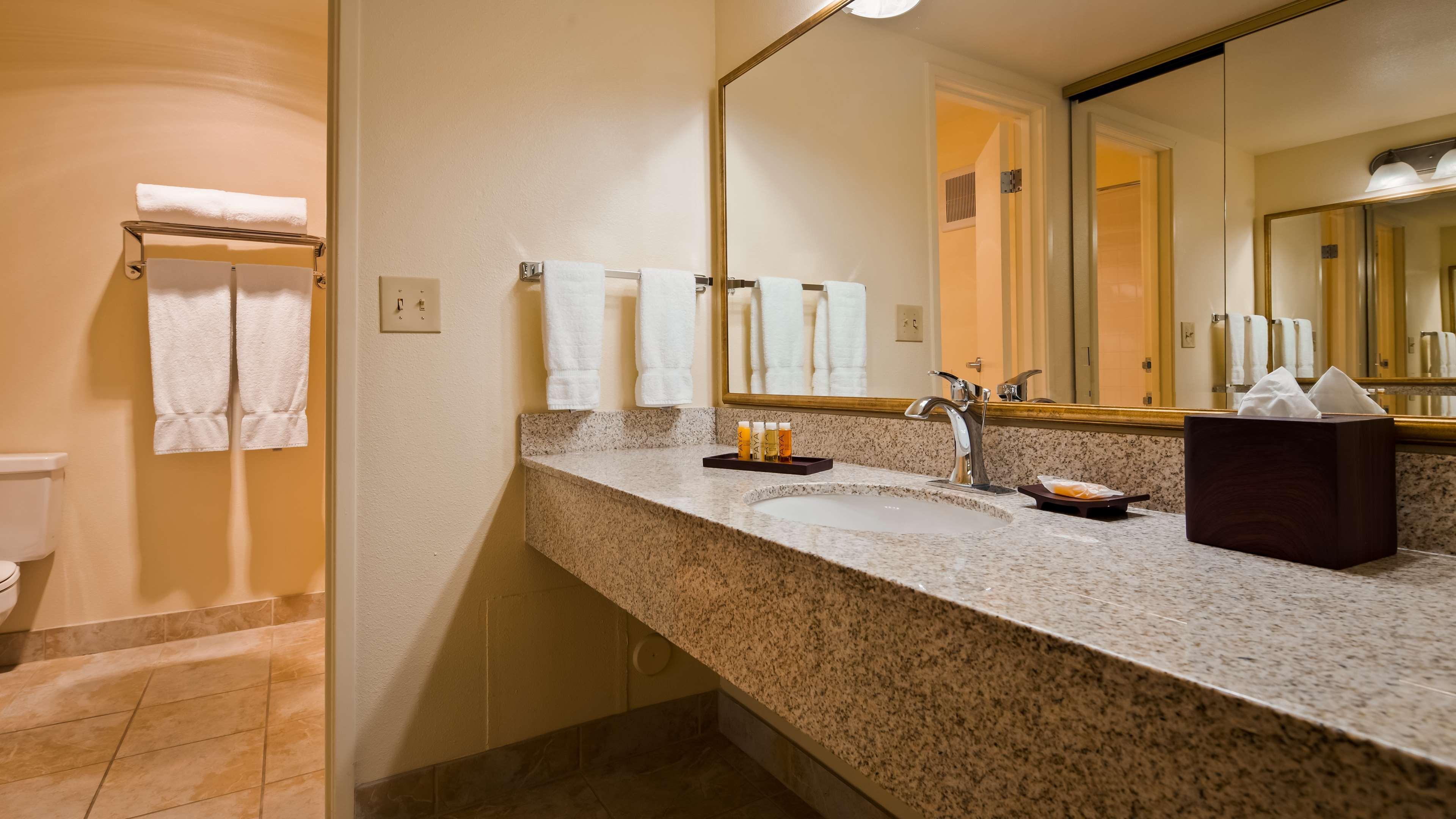 Western Royal Oak Hotel 3*