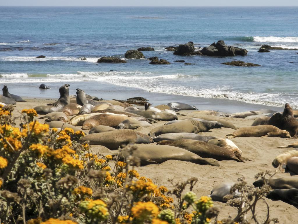 Hotel At San Luis Obispo