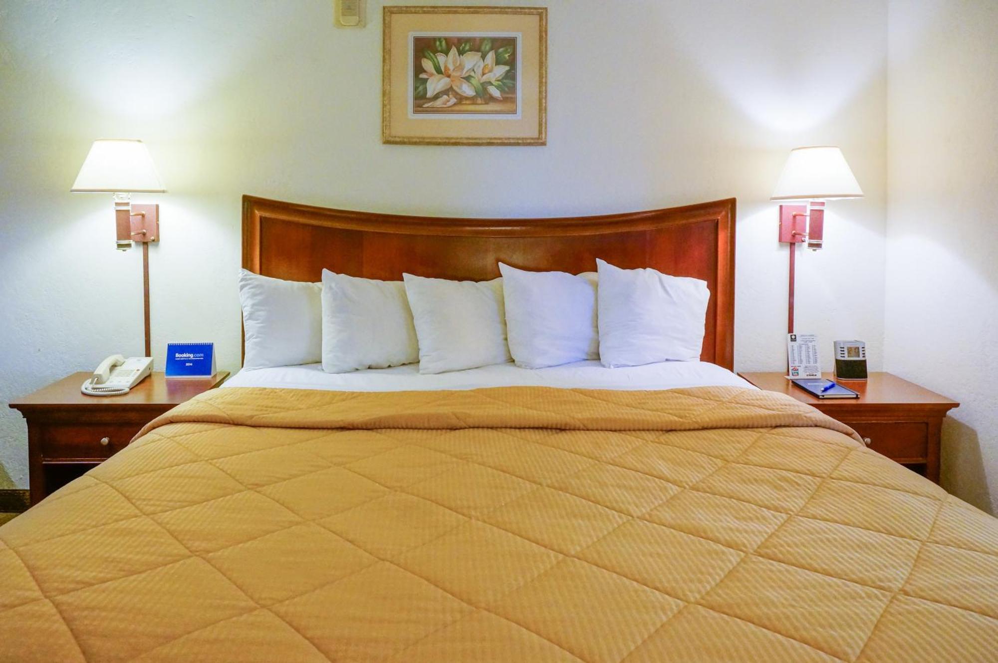 Lamplighter & 3* San Luis Obispo