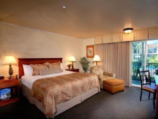Western Royal Oak San Luis Obispo