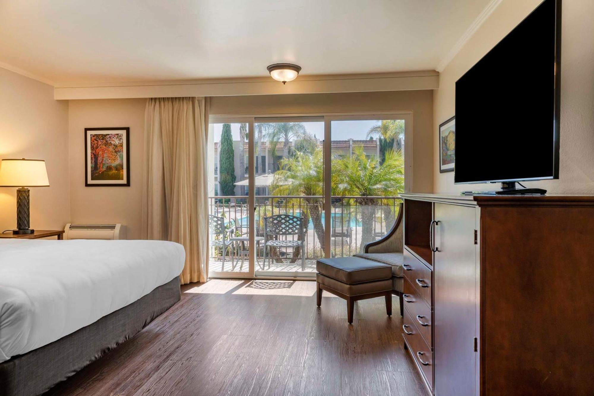 Western Royal Oak San Luis Obispo