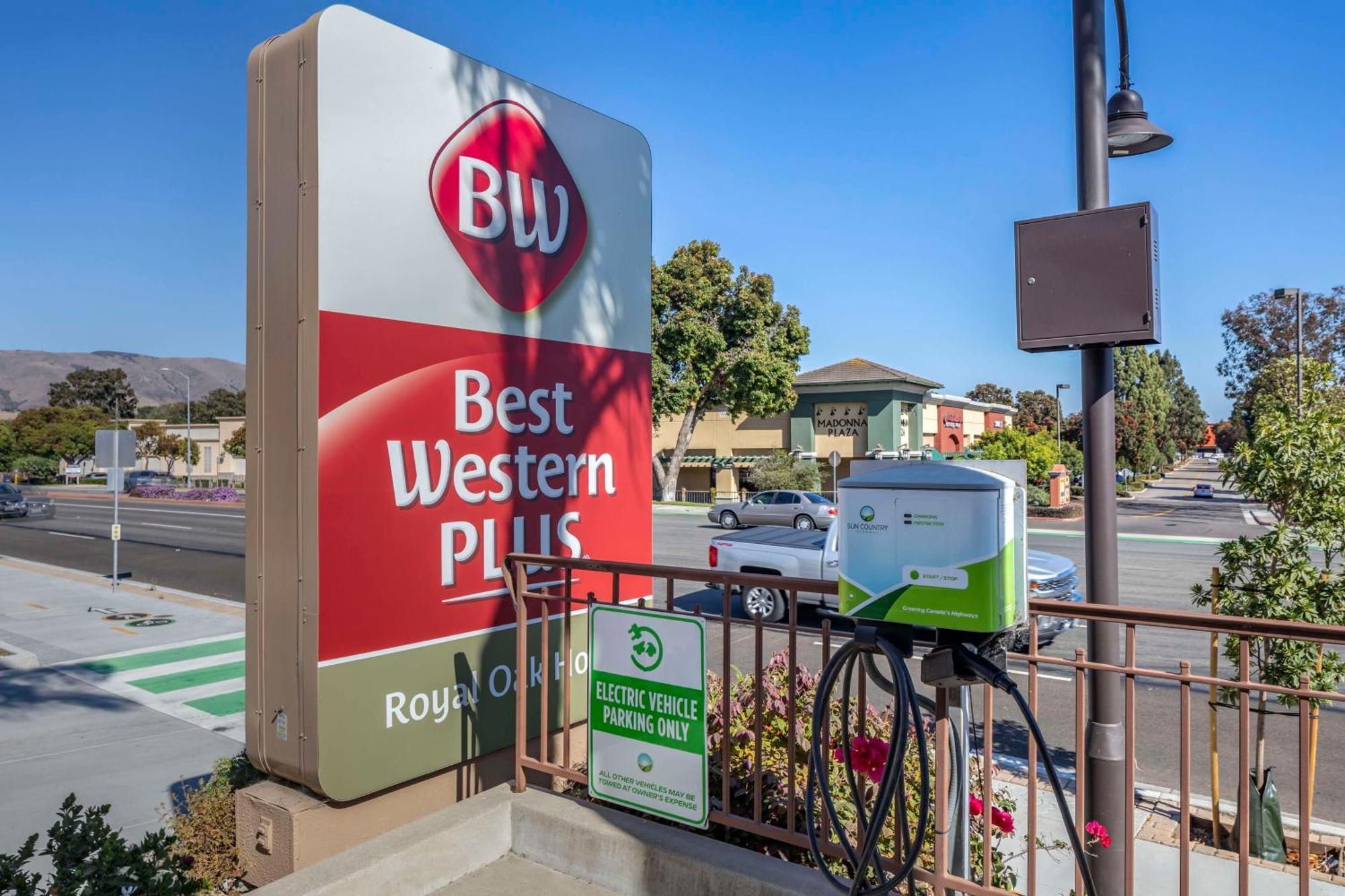 Western Royal Oak San Luis Obispo