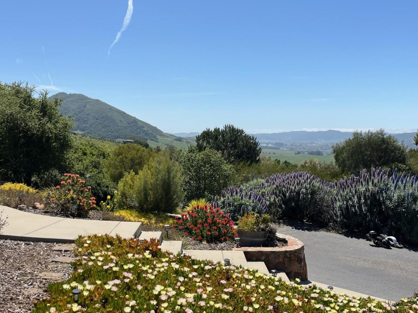 Holiday home Serene Retreat In The Heart Of Slo *