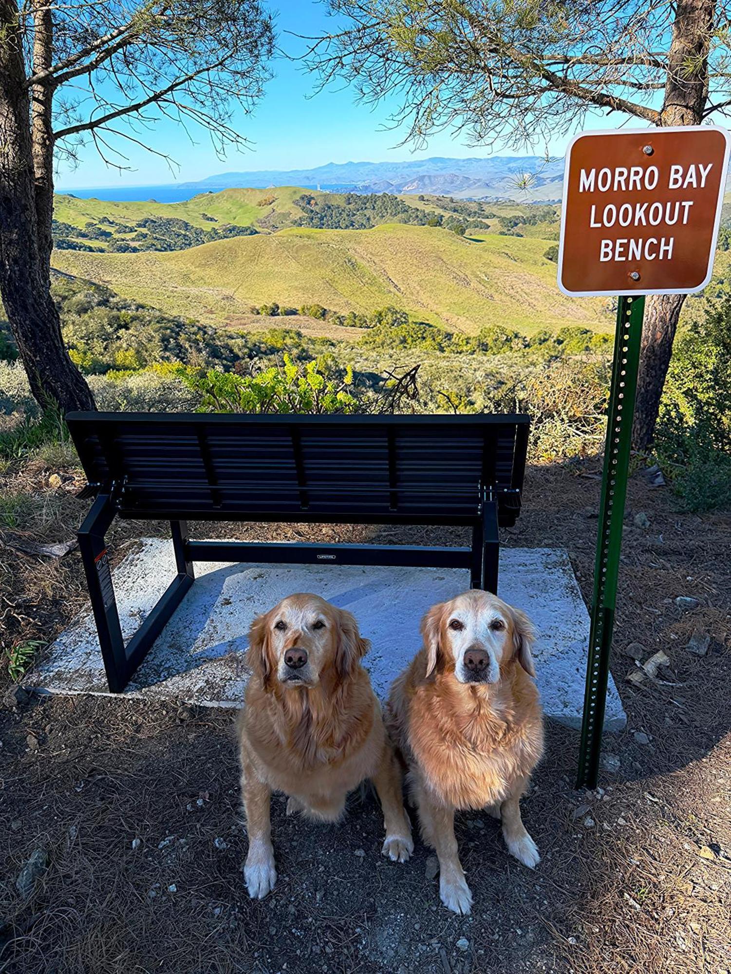 Vista House, Luxury Above The Clouds! - Whole House Holiday home *