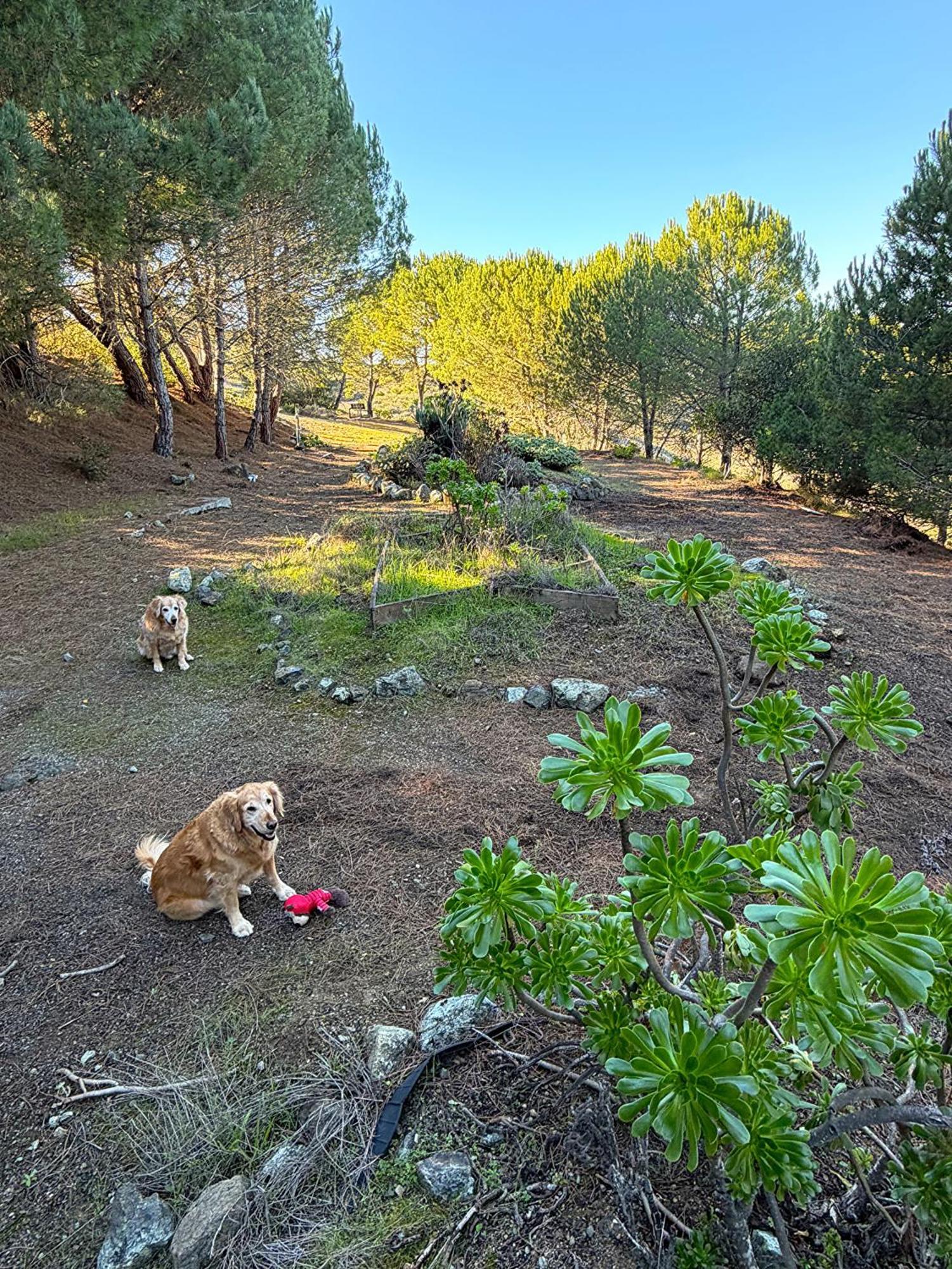Holiday home Vista House, Luxury Above The Clouds! - Whole House San Luis Obispo