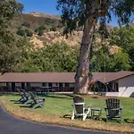 Peach Tree San Luis Obispo