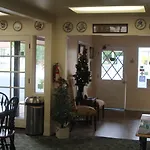 Peach Tree