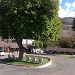 Peach Tree San Luis Obispo