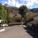 Peach Tree San Luis Obispo