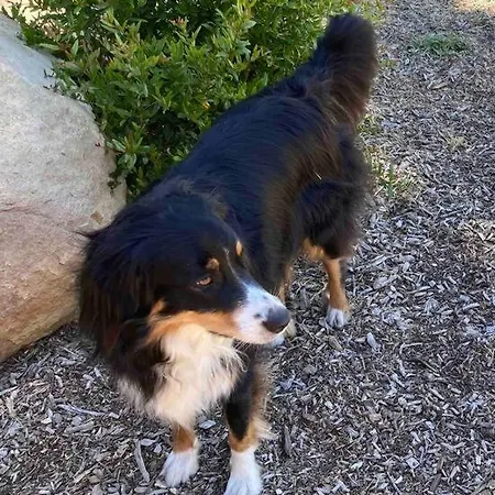 Pacific Coast Highway Milkhouse San Luis Obispo