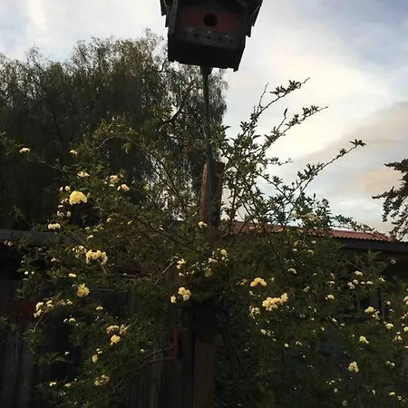 Pacific Coast Hwy Bunkhouse In Apartment San Luis Obispo