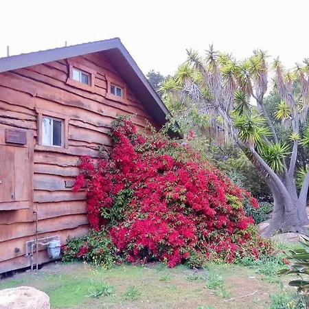 Pacific Coast Hwy Bunkhouse In