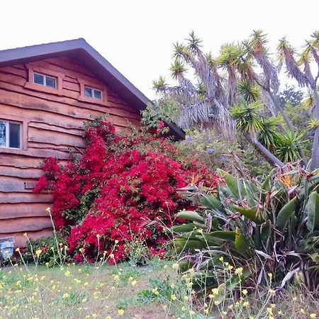 Pacific Coast Hwy Bunkhouse In * San Luis Obispo