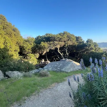 Serene Retreat In The Heart Of Slo