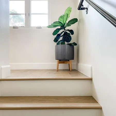 Apartment Luxurious Dowtown With Private Rooftop *