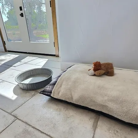 3 Dogs Whine Holiday home San Luis Obispo