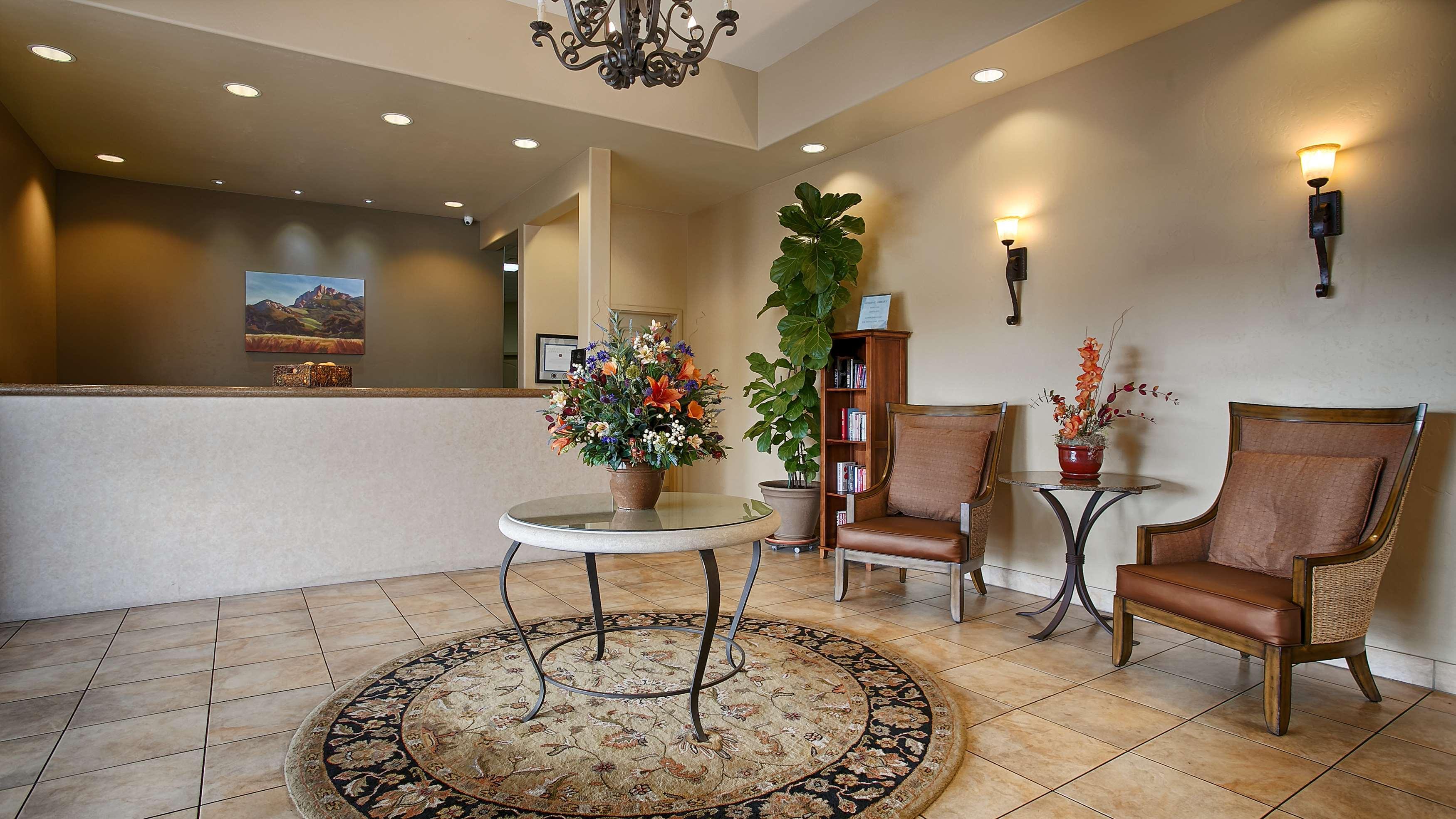 Western Royal Oak San Luis Obispo