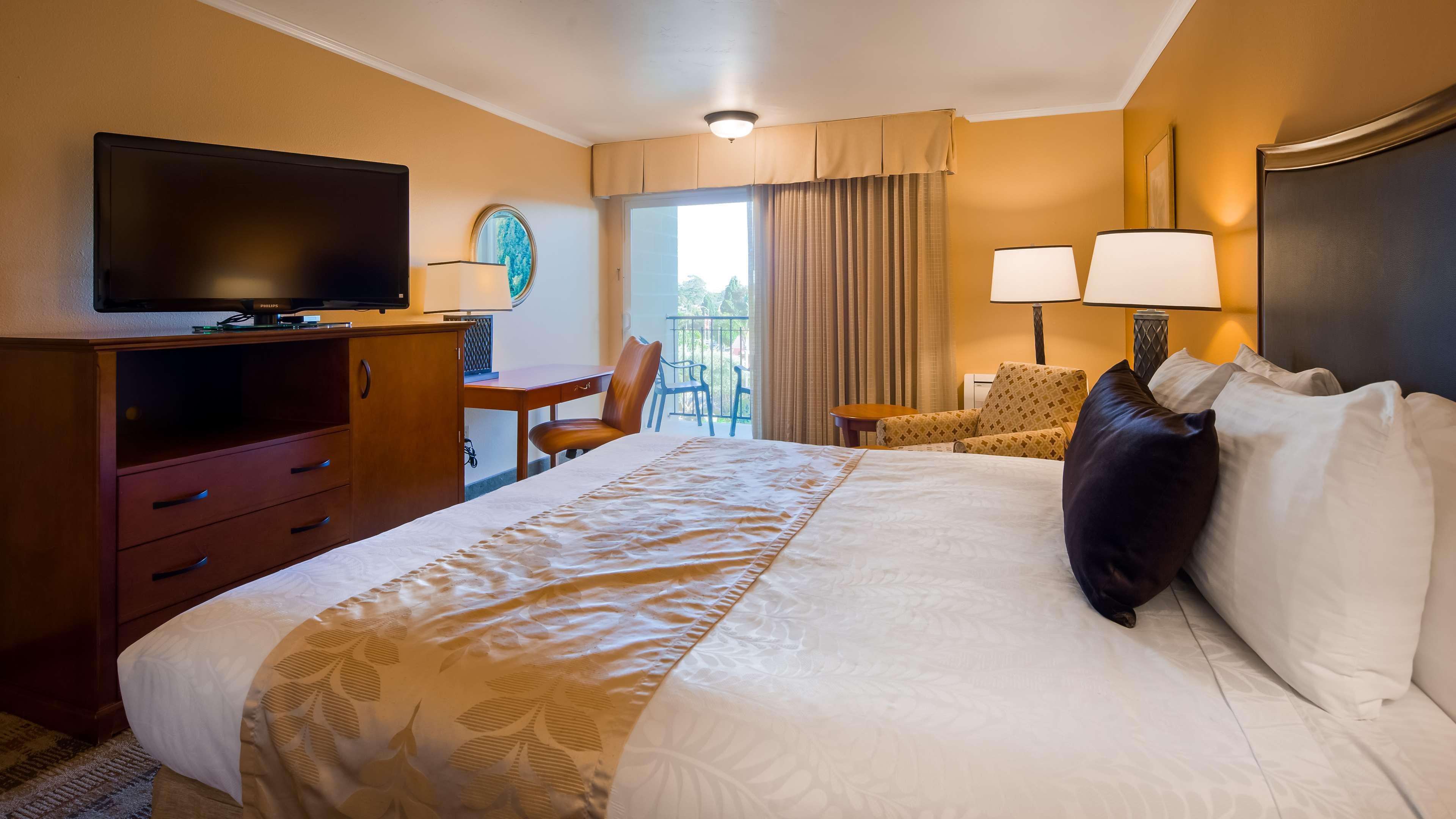 Western Royal Oak San Luis Obispo