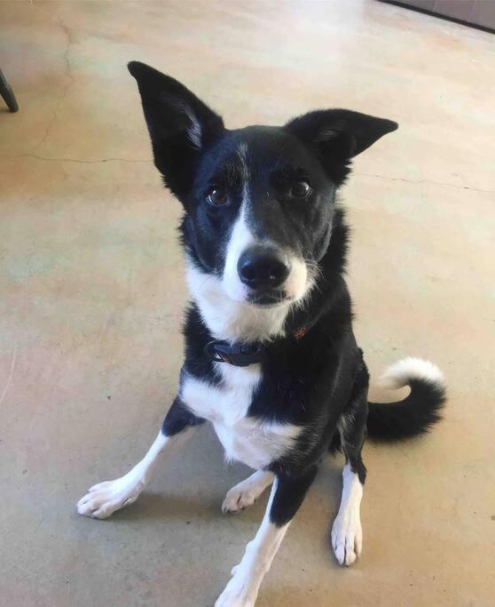 Pacific Coast Highway Milkhouse Holiday home *