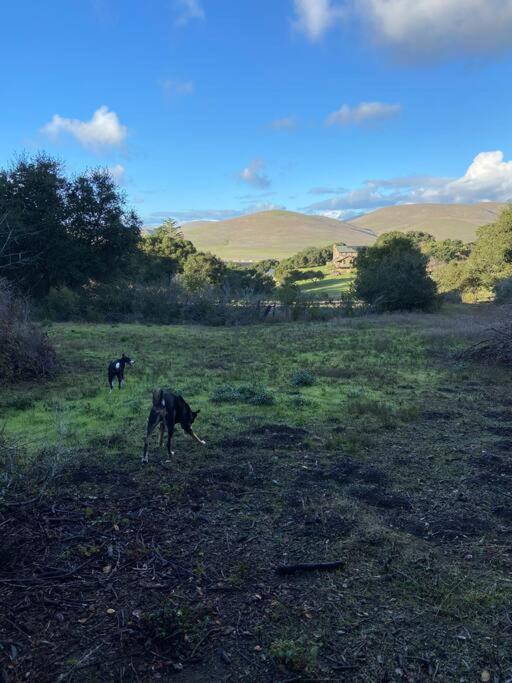 Pacific Coast Highway Milkhouse * San Luis Obispo