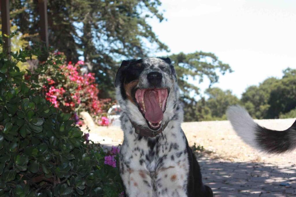 Pacific Coast Highway Milkhouse Holiday home *