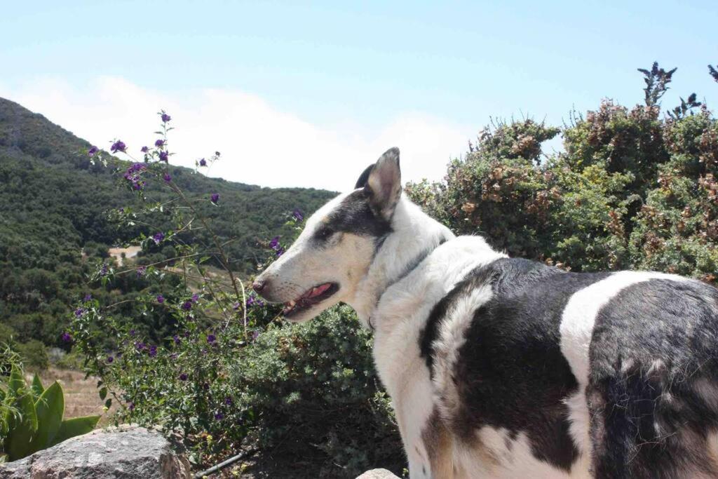 Pacific Coast Highway Milkhouse Holiday home