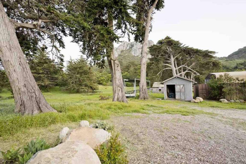 Pacific Coast Highway Milkhouse