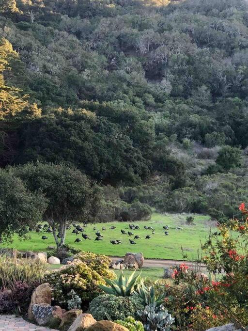 Pacific Coast Highway Milkhouse * San Luis Obispo