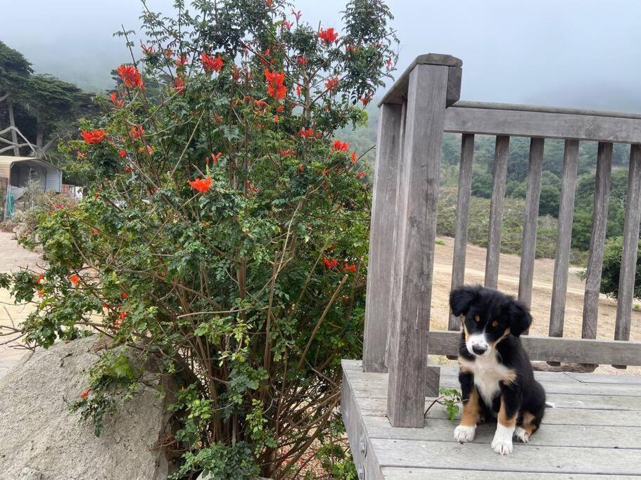 Pacific Coast Highway Milkhouse Holiday home *
