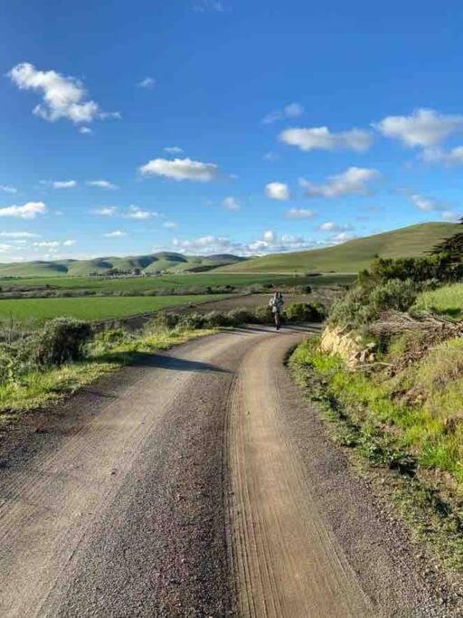 Holiday home Pacific Coast Highway Milkhouse