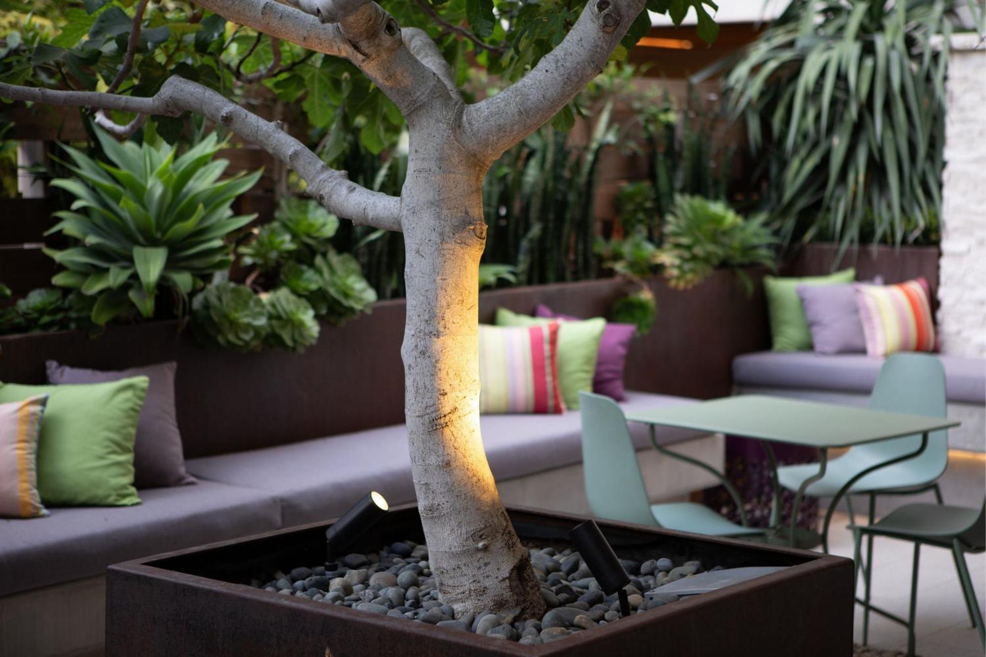 Cerro, Autograph Collection Hotel San Luis Obispo