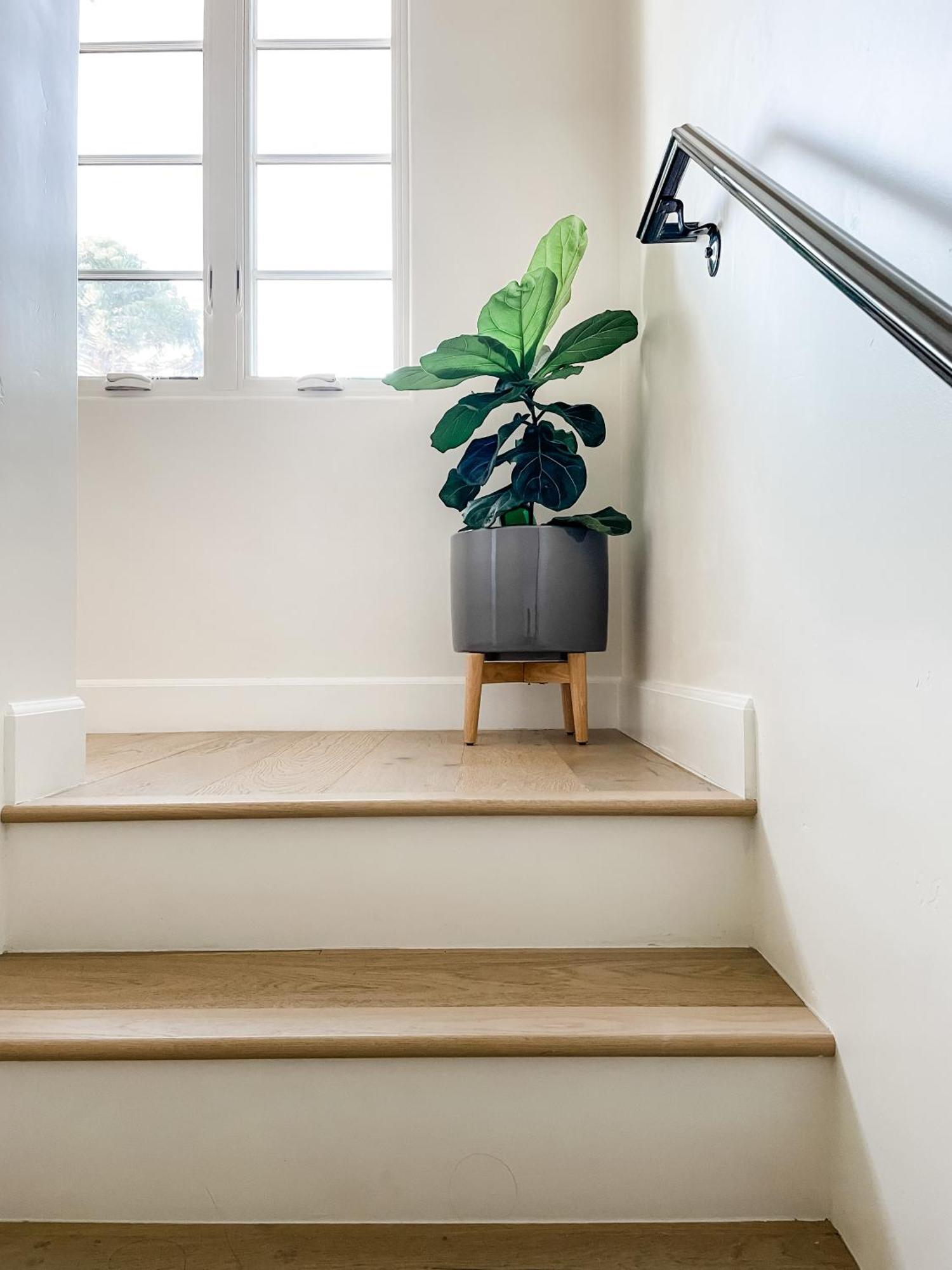 Apartment Luxurious Dowtown With Private Rooftop *