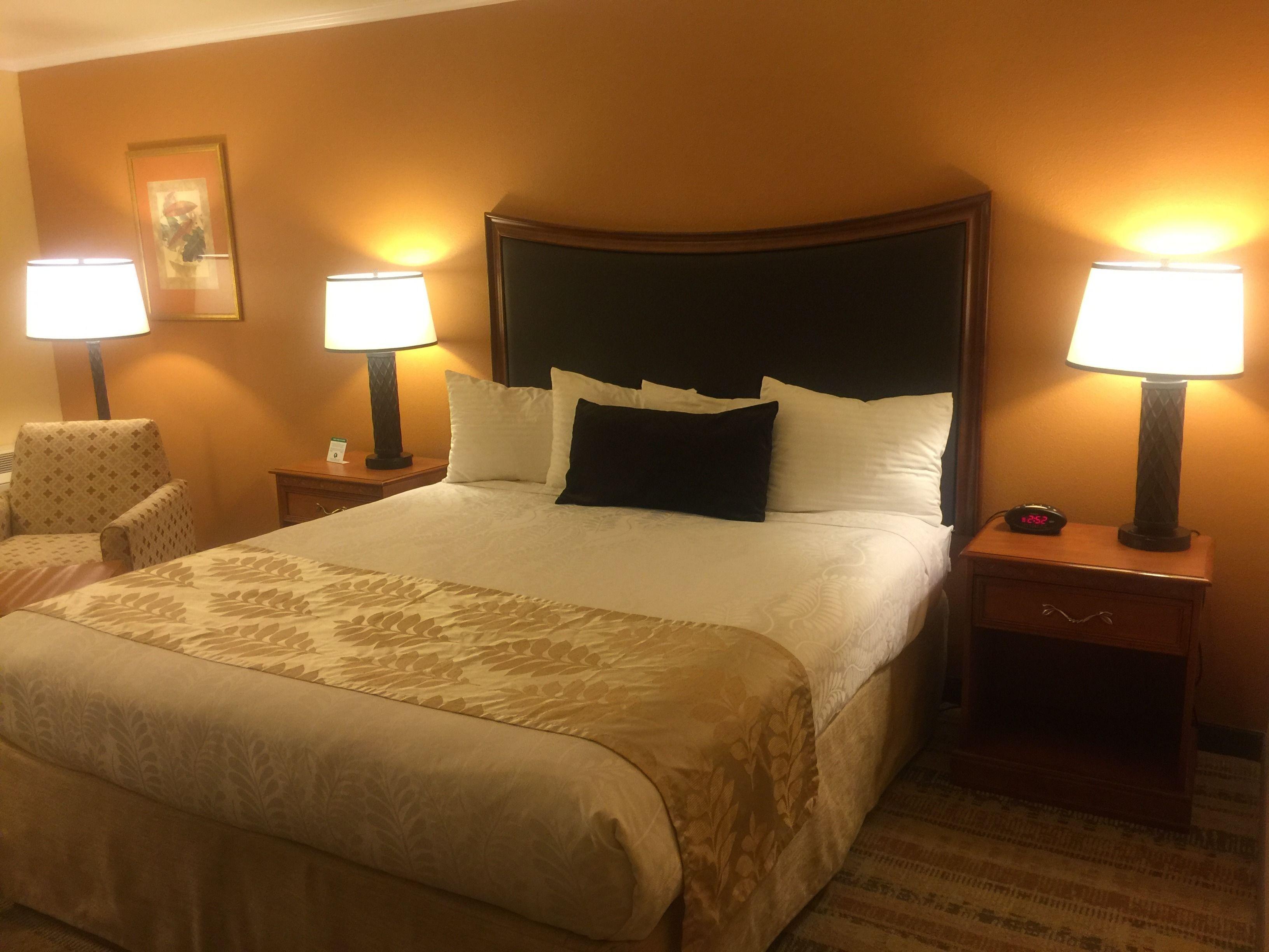 Western Royal Oak San Luis Obispo