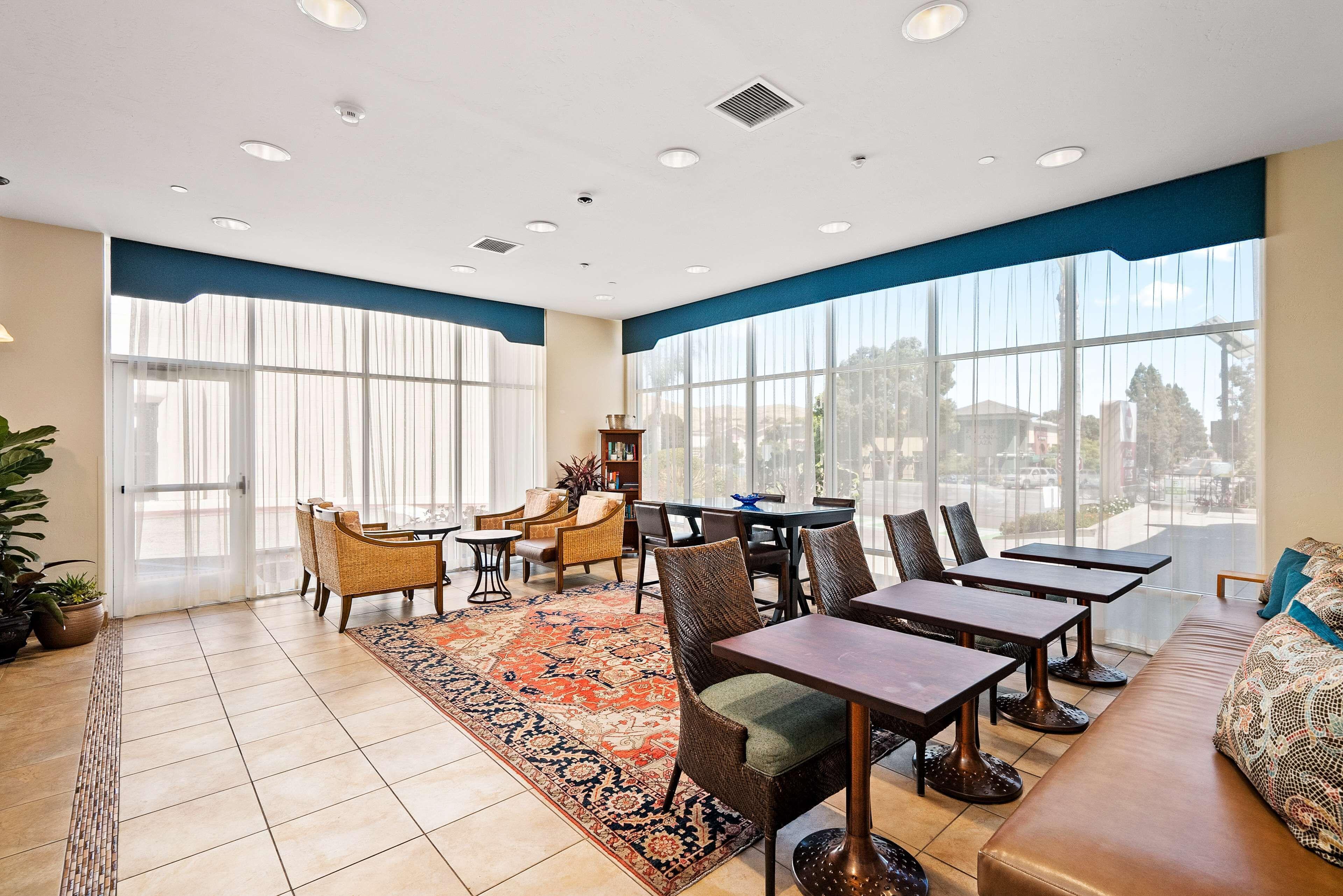 Western Royal Oak San Luis Obispo