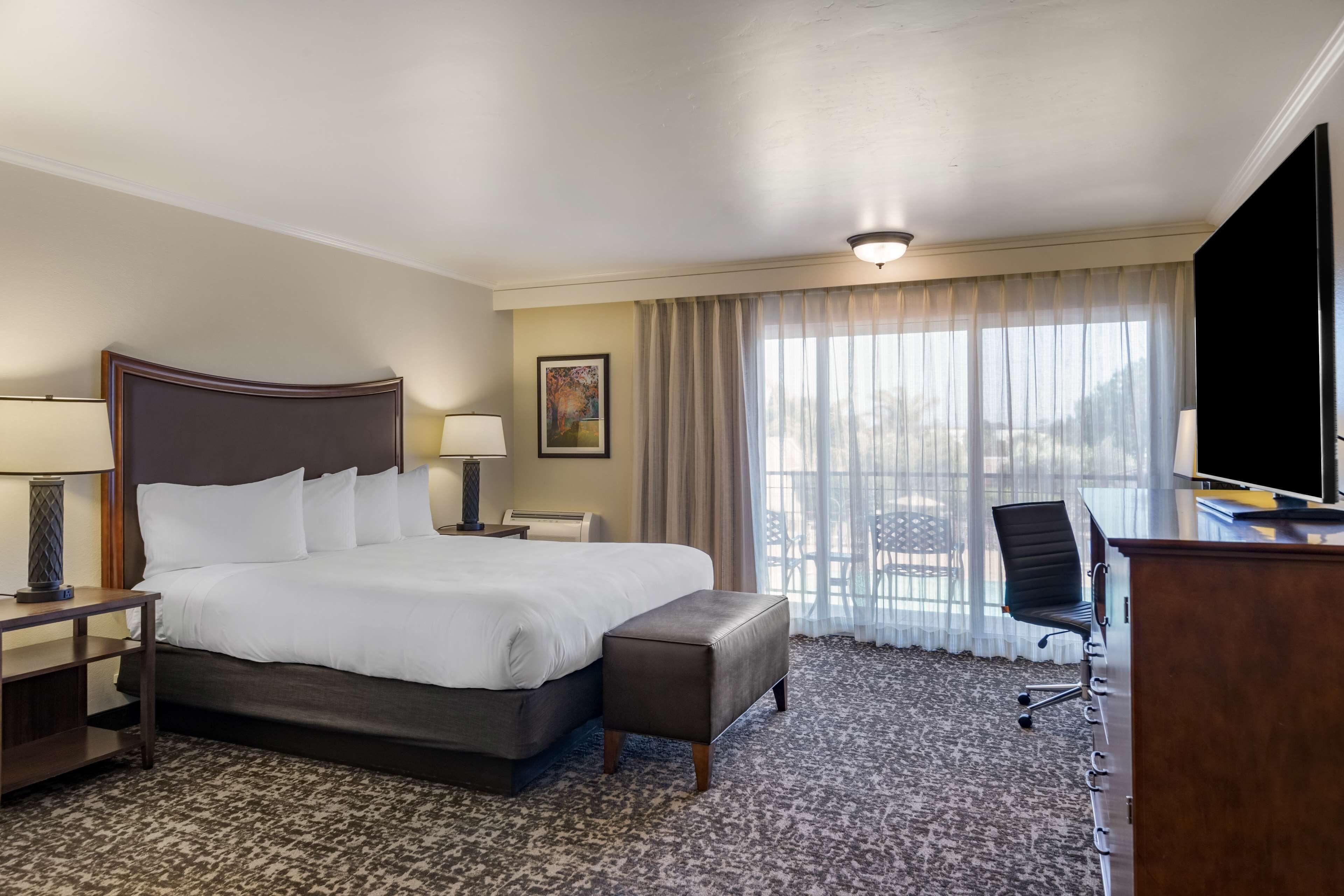 Western Royal Oak San Luis Obispo