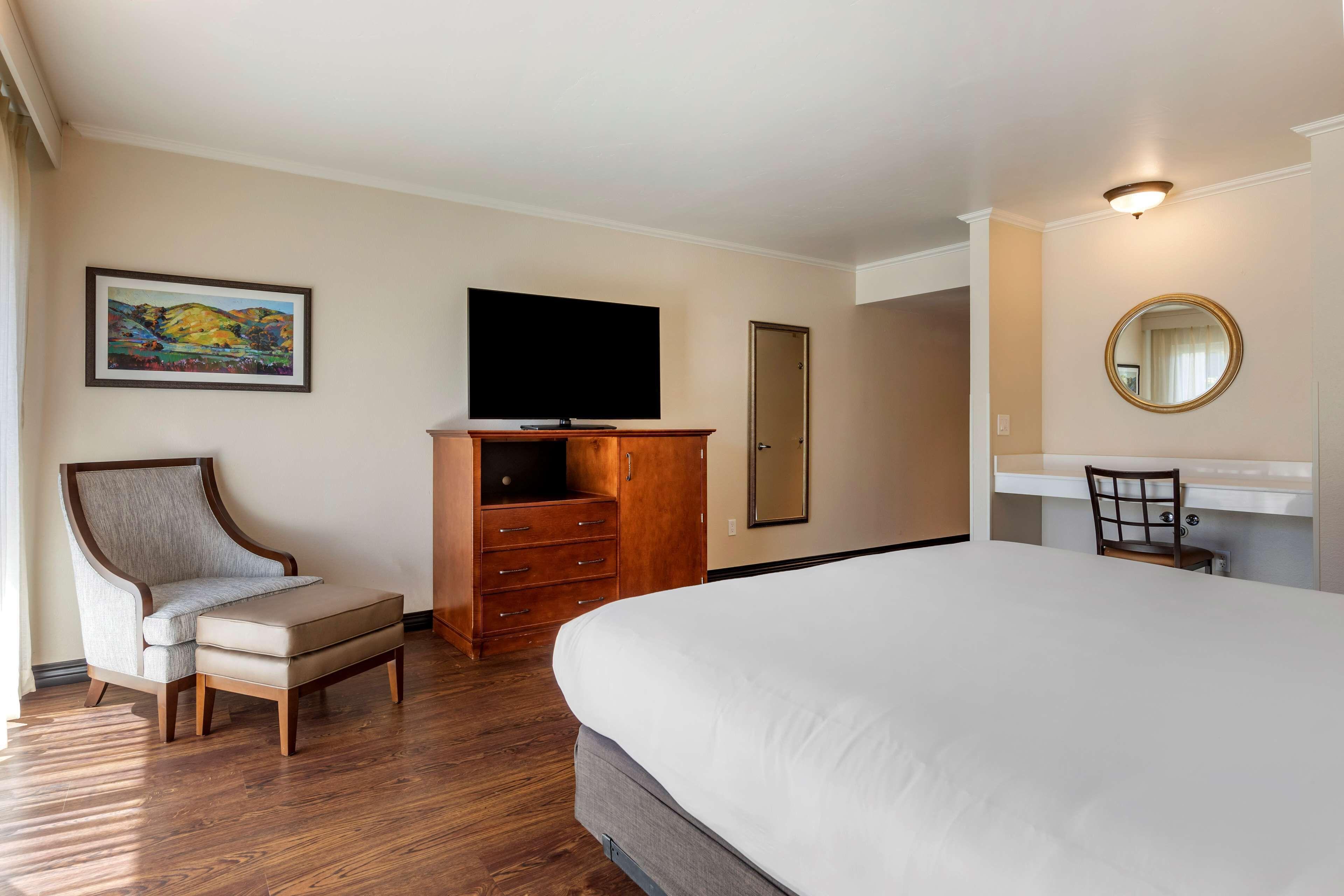 Western Royal Oak San Luis Obispo