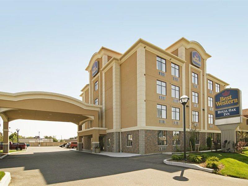 Western Royal Oak San Luis Obispo