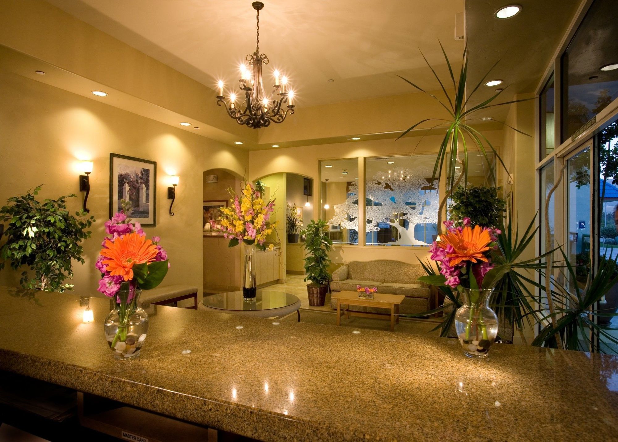 Western Royal Oak San Luis Obispo