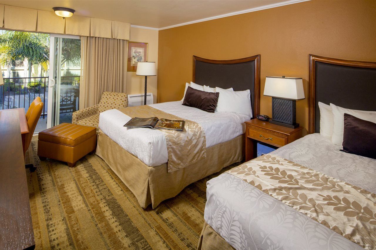 Western Royal Oak San Luis Obispo